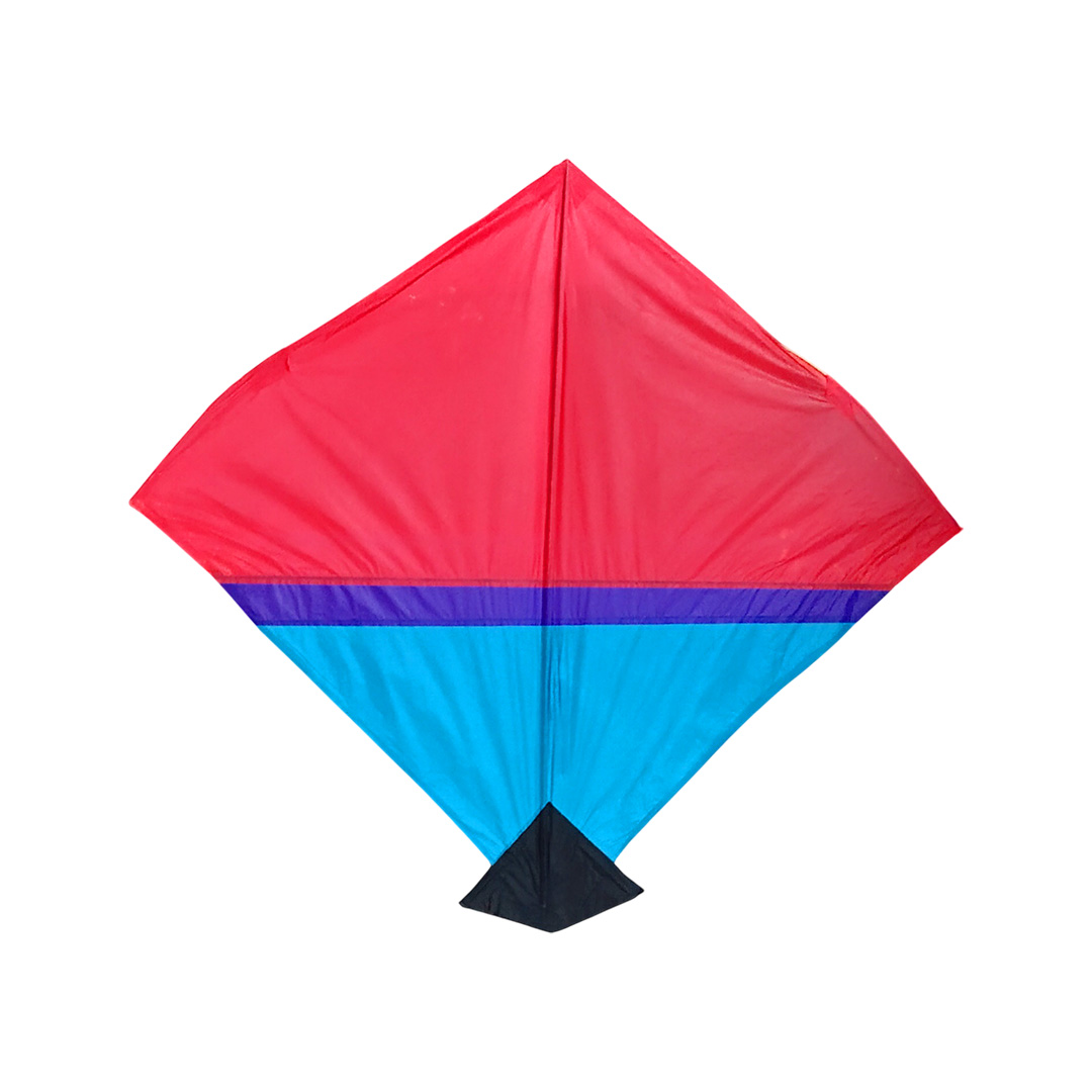 PAPER KITE ( PATANG ) 24 X 24